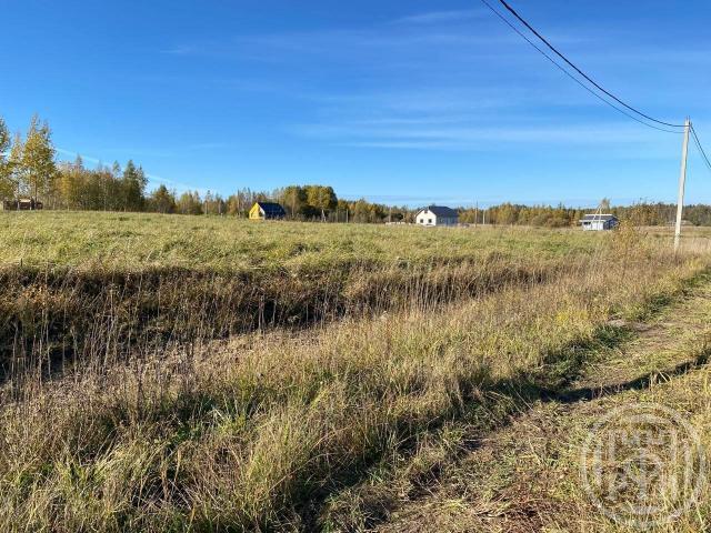 Низино дер.