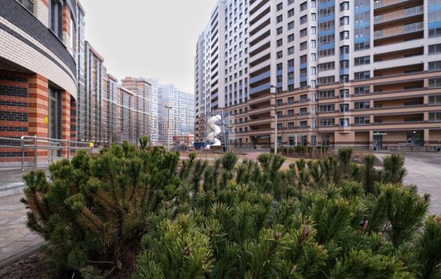 Коломяжский проспект, 13к3с1