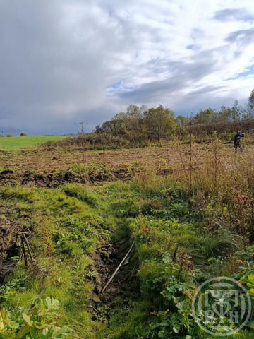 Бетково дер.