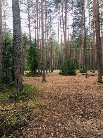 Ленинградская область, Всеволожск г.