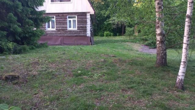 Ленинградская область, Озерки пос., 29