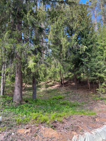 Ленинградская область, Белкино КП