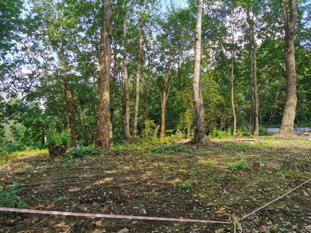 Ленинградская область, Токсово пос., Комендантская Гора ул.