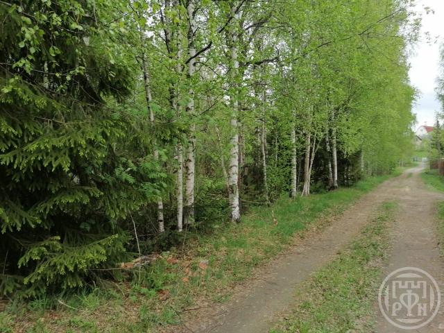 Новое Токсово массив, Юбилейное-ручьи снт, Новое Токсово массив, Юбилейное-ручьи снт