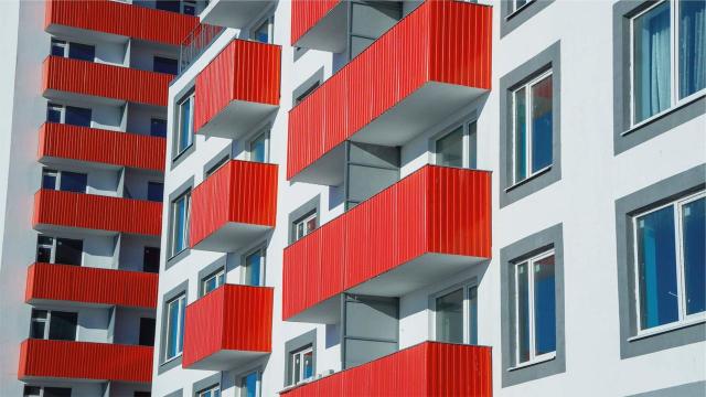 поселок Шушары, Московское шоссе, 262к5