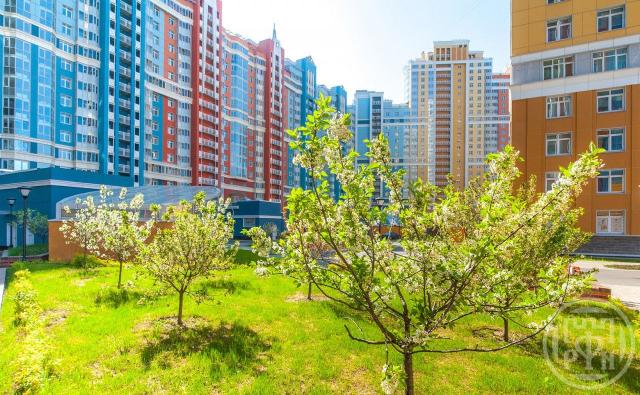 Просвещения просп., д 43