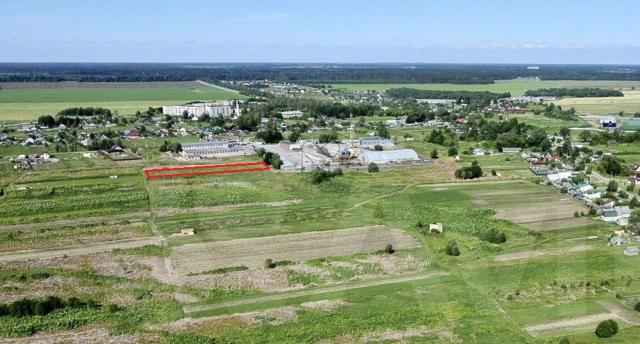 Рабитицы дер