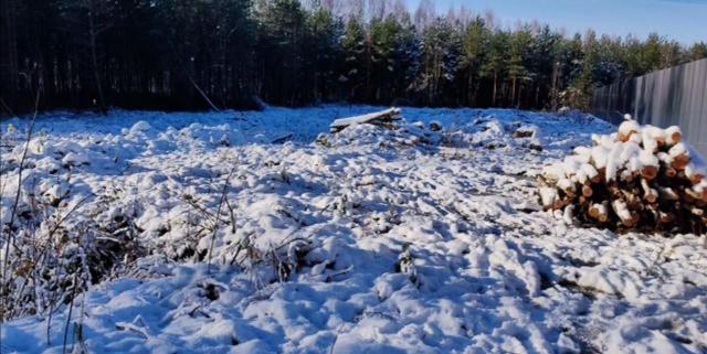 Ленинградская область, Балтиец-3