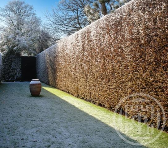 Порошкино дер., Долинная ул., д 19