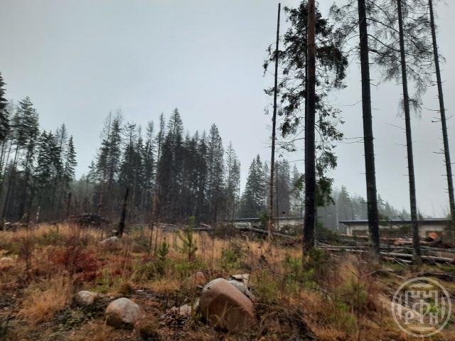 Сертолово г., Медное озеро 3 днп