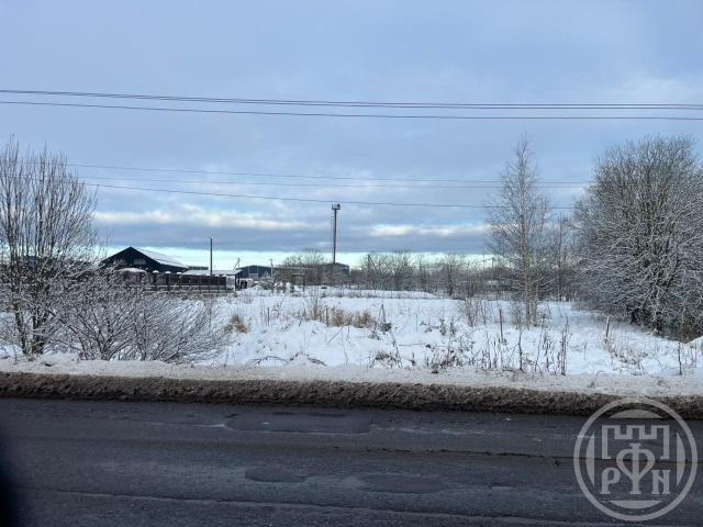 Велигонты дер.