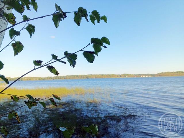 Правдино пос.