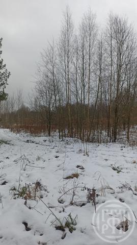 Старая Середка дер.