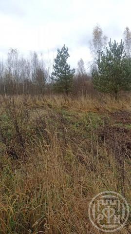 Старая Середка дер.