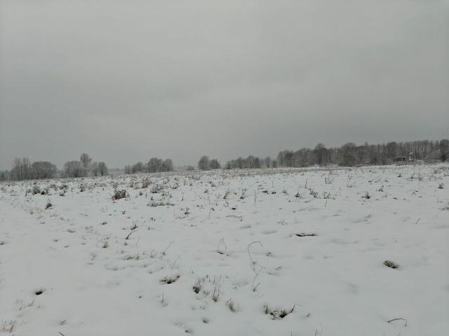 Ленинградская область, Черново дер.