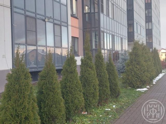 Новоселье пос., Стрельнинская ул., д 6