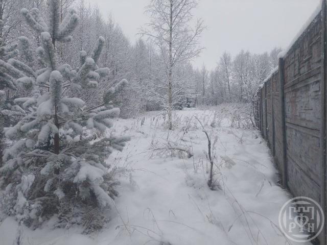 Выра дер., Сосновая ул.