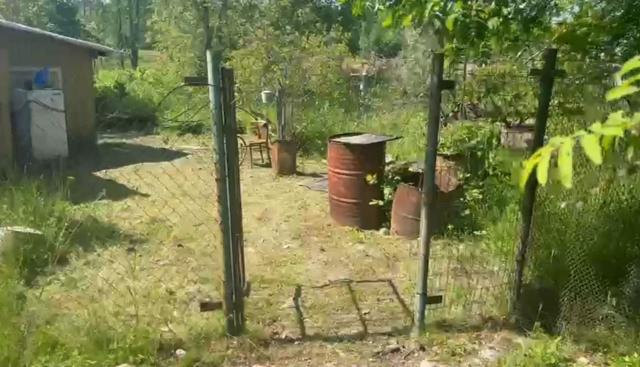 Ленинградская область, Судаково пос.