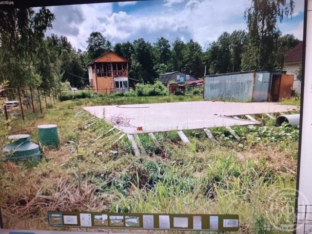 Синявино массив, Липки снт.