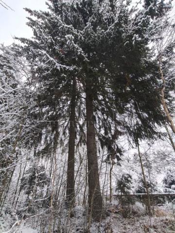 п. Бригадное