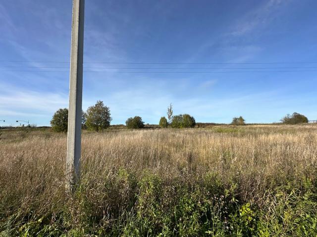 Ленинградская область, Большое Руддилово дер.