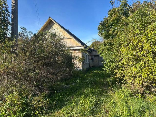 Ленинградская область, Большое Руддилово дер., 21