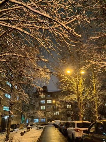 Бухарестская ул., 86К1