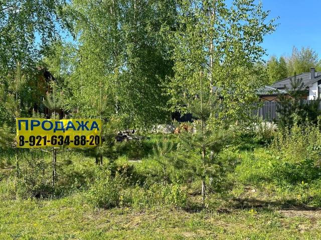 Ленинградская область, Золотая Роща КП, 32