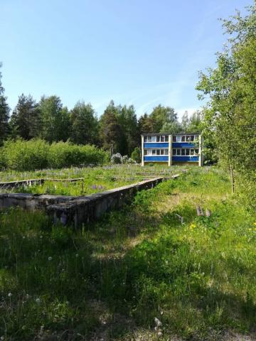 Ленинградская область, Усть-Луга пос., Судоверфь квартал