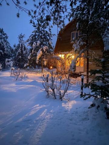 Ленинградская область, Контур СНТ