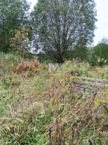 Волосковичи