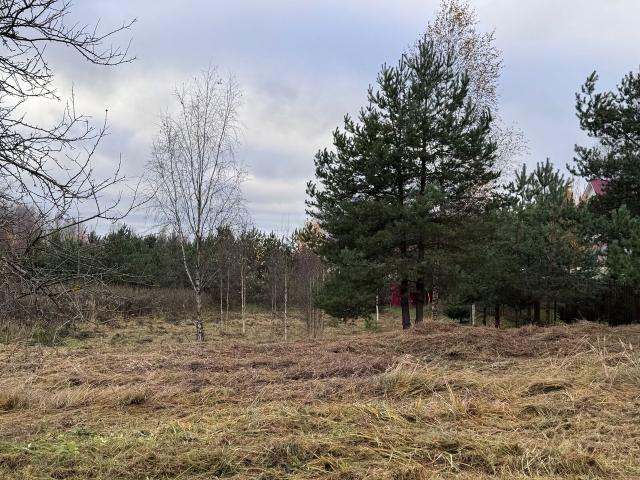 Ленинградская область, Разметелево дер.