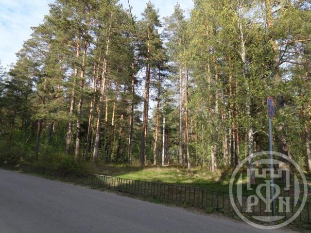 Солнечное пос., Петровская ул.