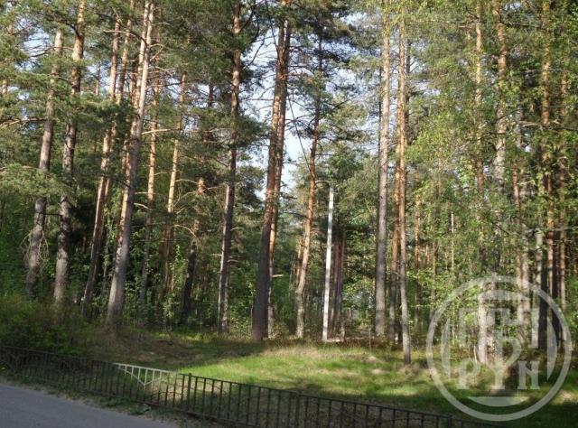 Солнечное пос., Петровская ул.