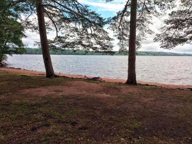 Ленинградская область, Красная Долина пос.