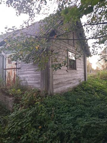 Ленинградская область, Кипуя дер., 23