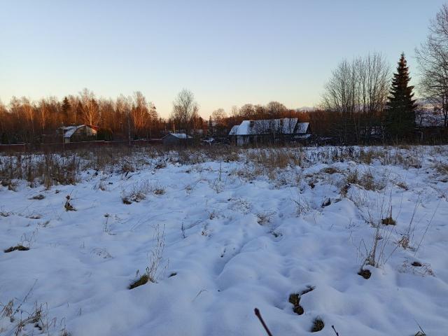 Ленинградская область, Никольское с.