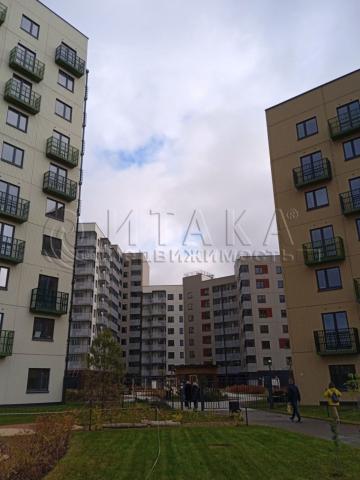 Янино-1, Лесная, 9