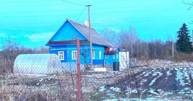 Ленинградская обл., Кингисеппский р-н, Опольевское сельское поселение, д. Брюмбель, 1, 1