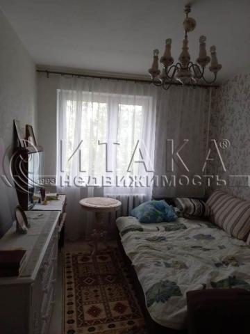 п. Житково, 31