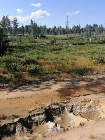Ленинградская область, Агалатовское сельское поселение, У Лукоморья СНТ