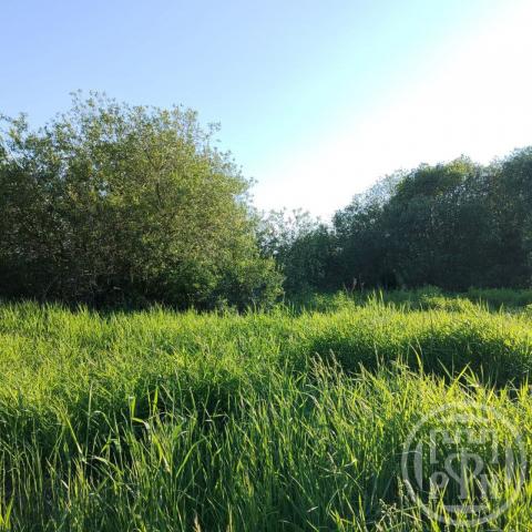 Покровская дер.