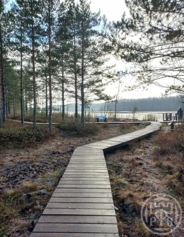 Коккорево дер., Ладожский Маяк КП