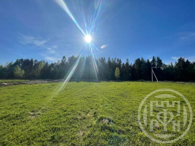 Матокса массив, Ранчо снт