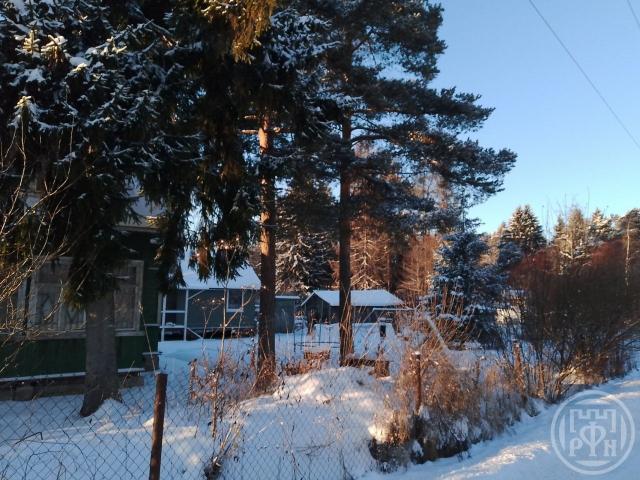 Сестрорецк г., Тарховская ул., д 14