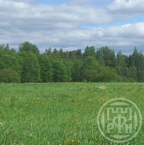 Сорочкино дер.