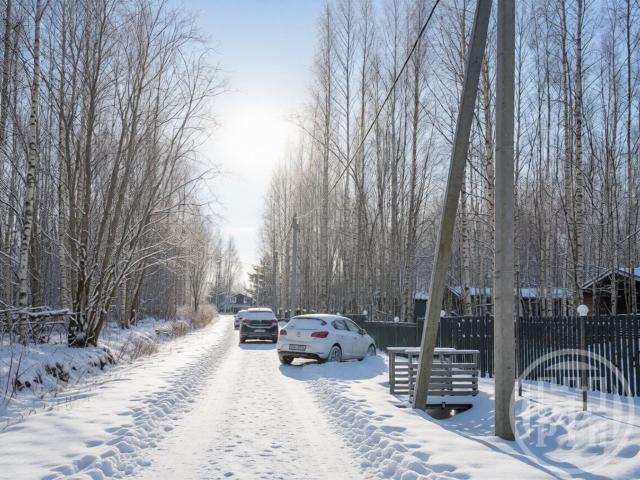 Таменгонт дер.