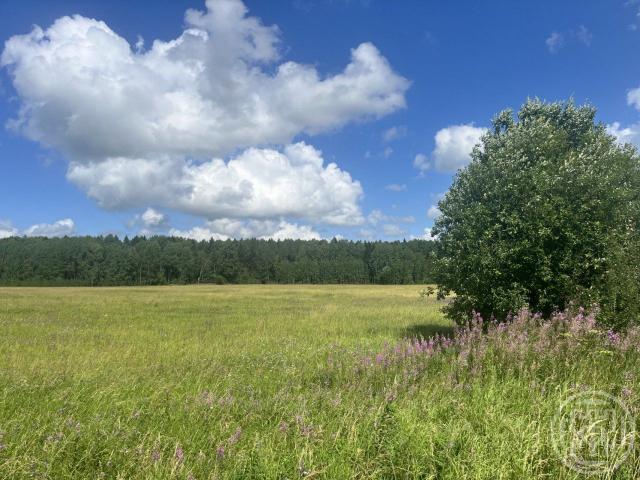 АОЗТ Лопухинка-2 у д Горки