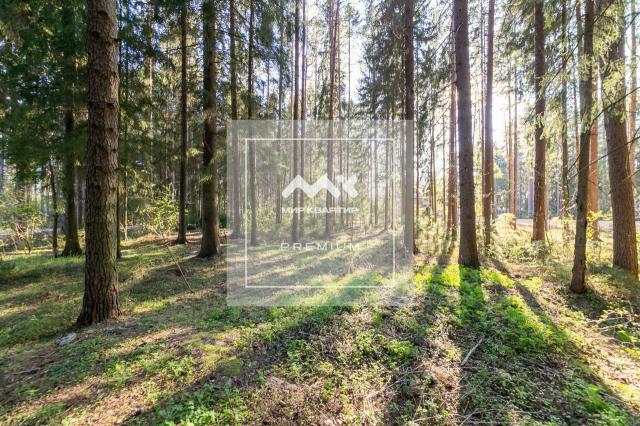 Зеленогорск г., 1-я Лесная ул., 16А