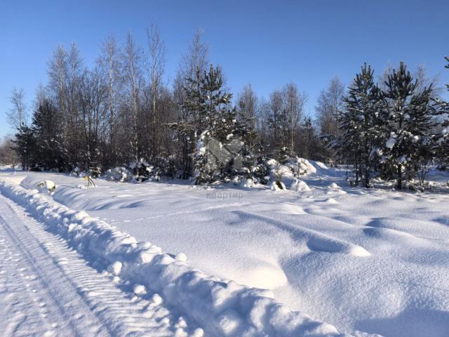 Всеволожск